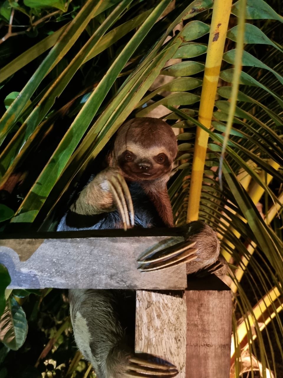 Guanáwanna
